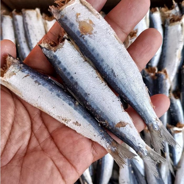 

Ikan asin siro rebus kering tanpa kepala rasa gurih tidak asin - lesi rebus - sembulak rebus - japu