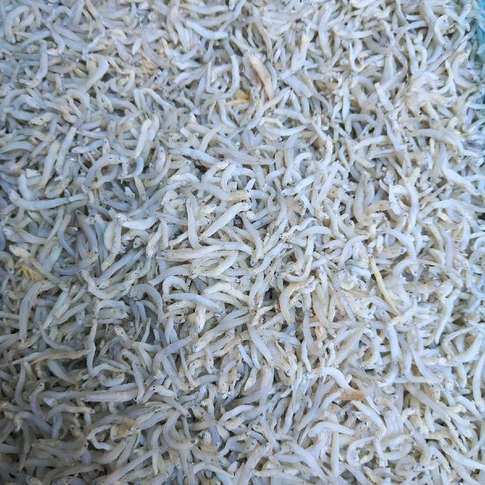 

TERI NASI TAUGE SUPER KERING KUALITAS SUPER