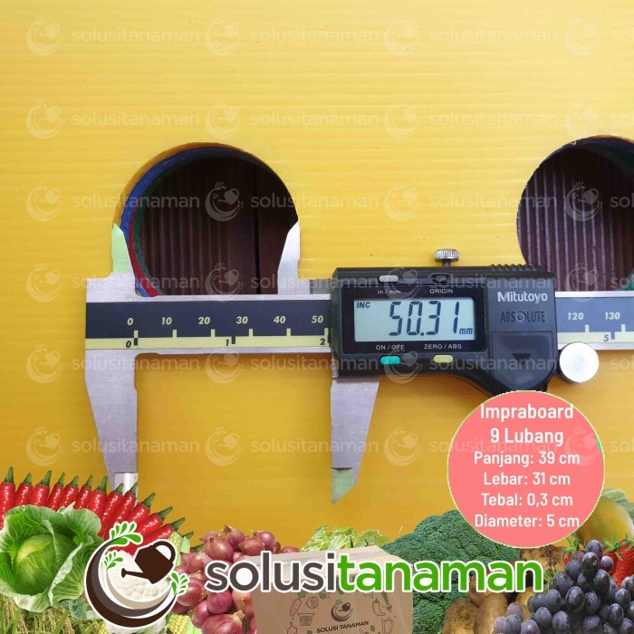 

(BestSeller) Impraboard Hidroponik 9 Lubang Tutup Media Baki Netpot Original Pabrik