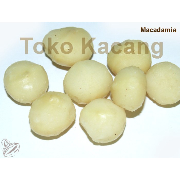 

Kacang Macadamia Mentah 1Kg