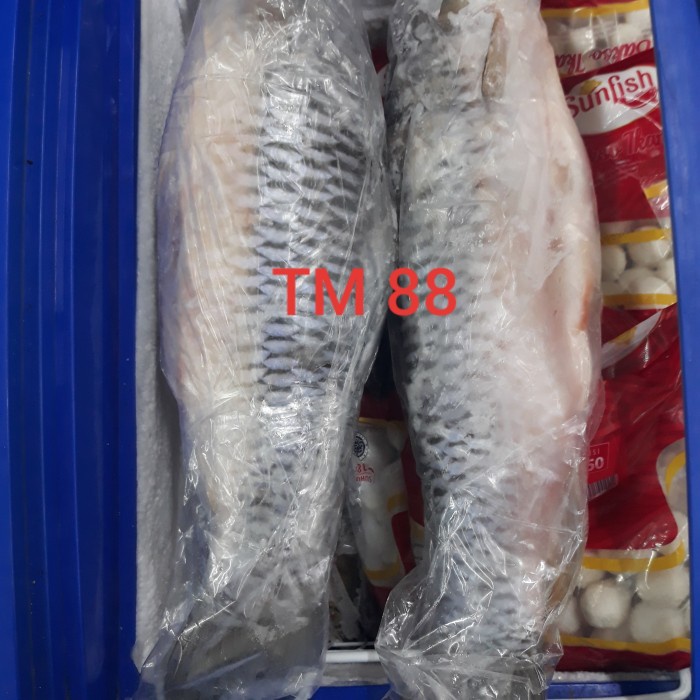 

Sale Terbatas Ikan Jerawat/Phak Lin Aman