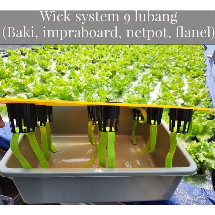 

TERLARIS! SET BAKI BAK HIDROPONIK TERMASUK NETPOT, SUMBU, DAN TUTUP IMPRABOARD 9 LUBANG