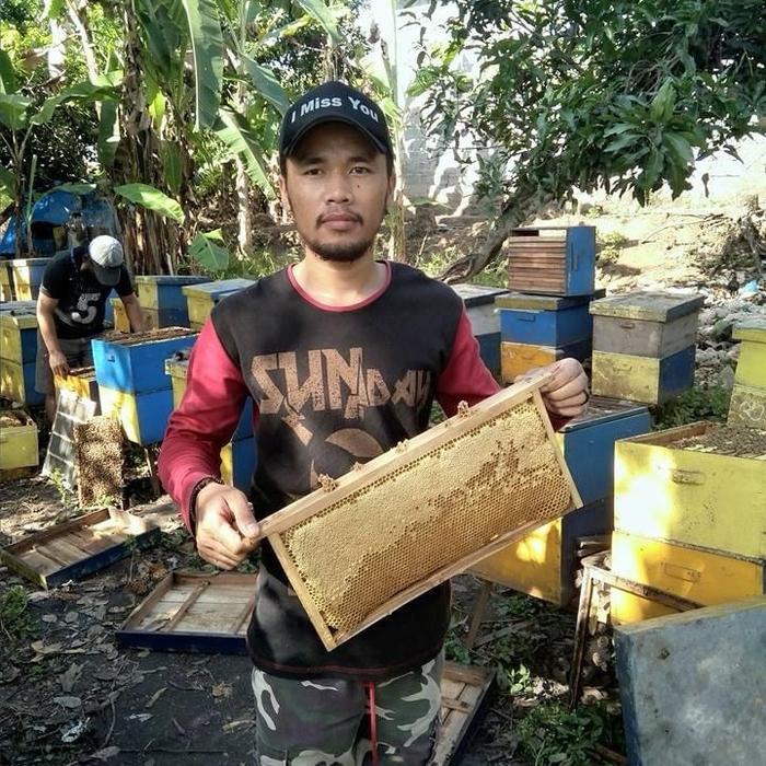 

Sale Terbatas Madu Murni Nektar Bunga Kopi Apis Mellifera - Netto 1000G Aman