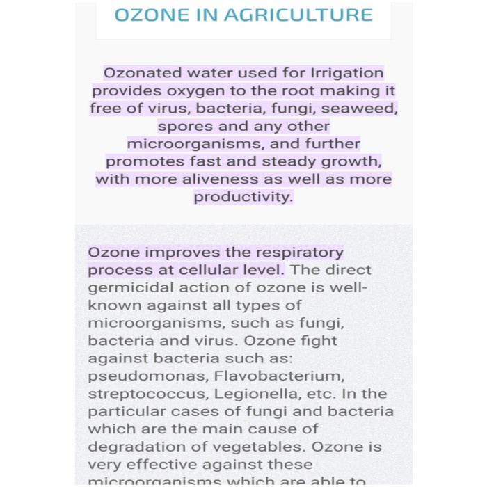 Ozone Generator 220v 2000mg Water Ozonizer Gercidal Sterilizer