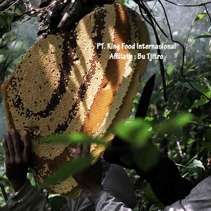 

Promo Terbatas Madu Hutan Asli 100% Indonesia 1Kg Forest Honey All Variant Premium Aman