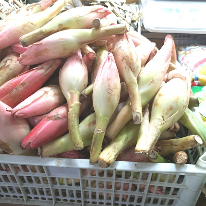 

Kecombrang/bunga rias 1kg