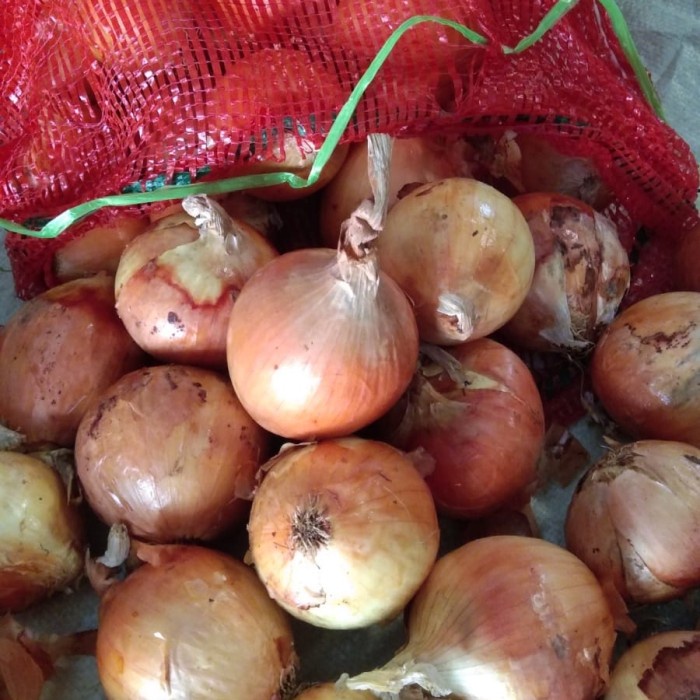 

BARANG TERLARIS bombay besar uk6080 kemasan 20kg