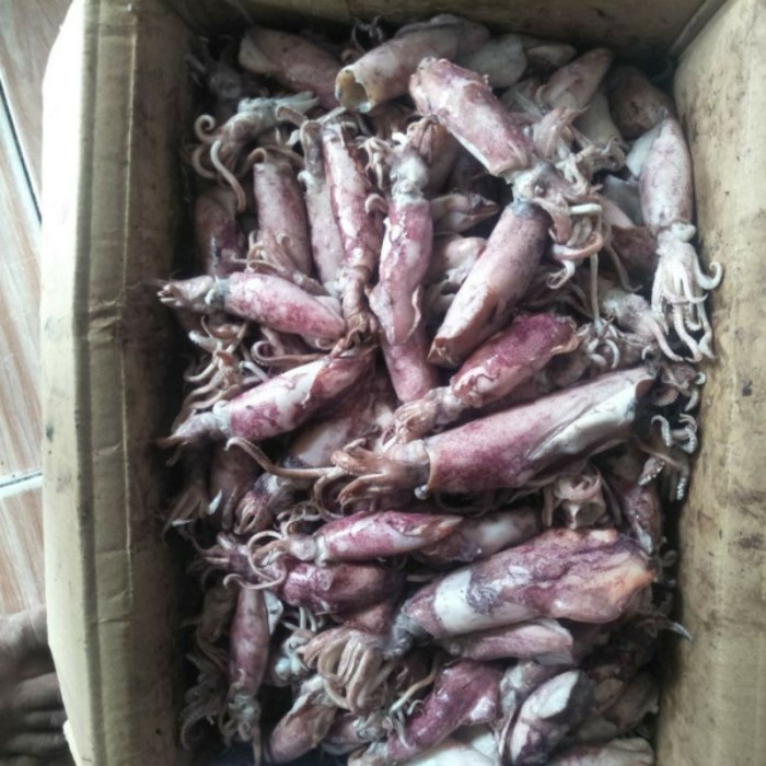 

CUMI ASIN BASAH 500 gr