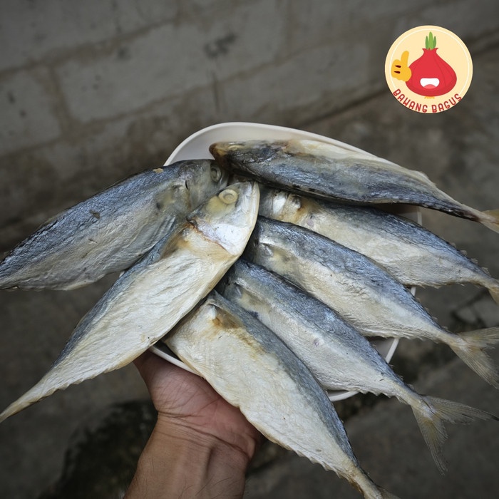 

Ikan Asin Peda Putih/Peda Putih 500gr - Bawang