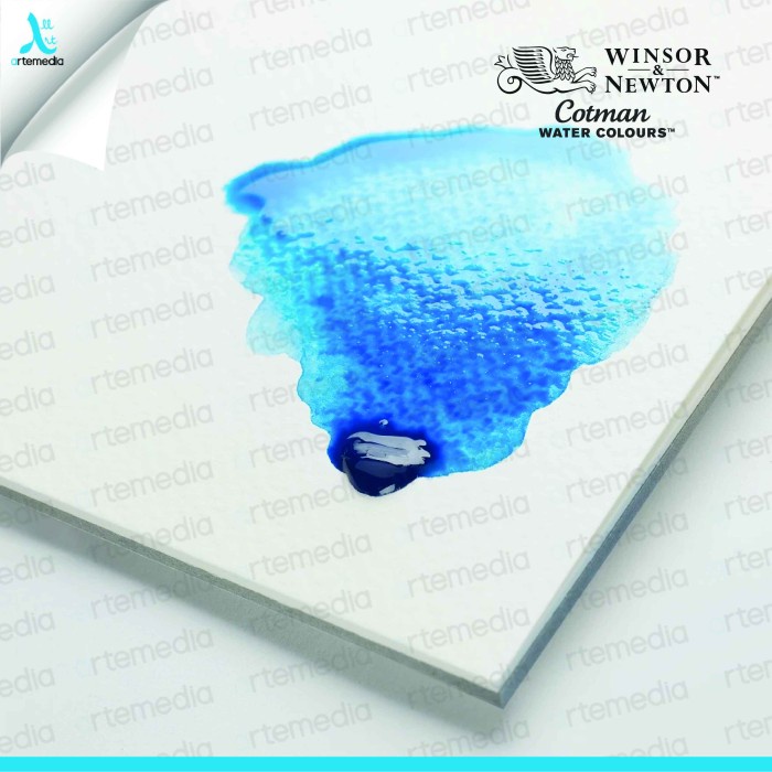 

TERLARIS Cat Air Winsor & Newton Cotman Watercolor 12 Half Pan Sketchers Pocket