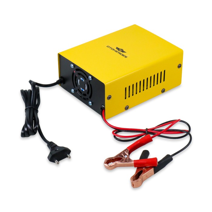 Menarik Bo Lai Mei Charger Aki Mobil Motor 250W 12V/24V 200Ah