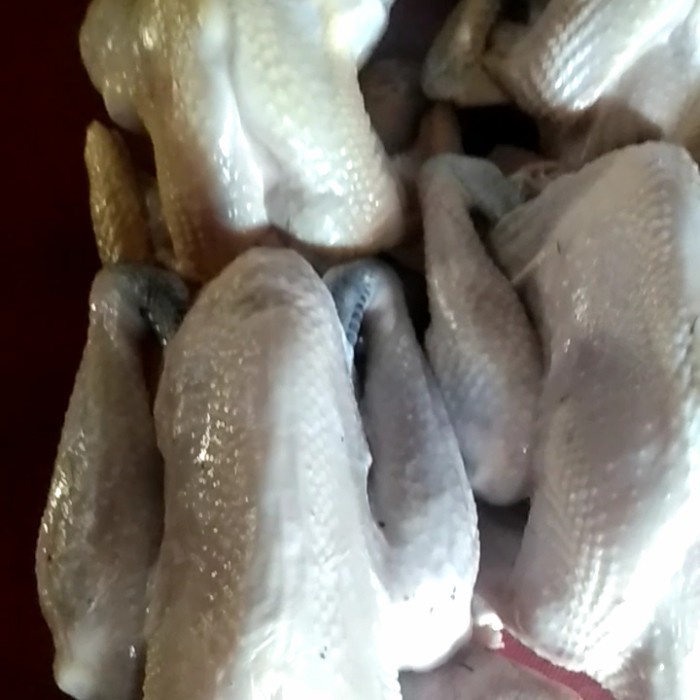 

(TopSeller) AYAM KAMPUNG LARGE 900-1000gr