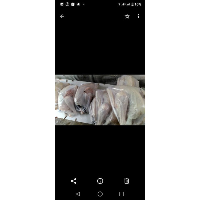 

(TopSeller) AYAM KAMPUNG 720 - 760 gr (Paket Silver)