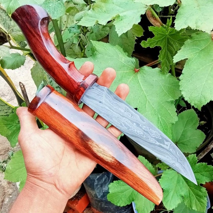 PREMIUM pisau dapur sisit daging sapi