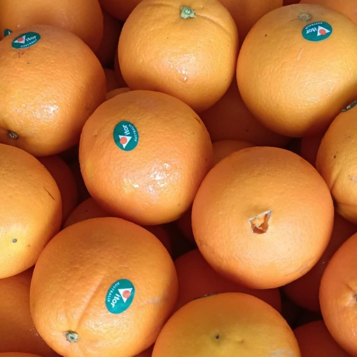 

Lezat- JERUK / ORANGE NAVEL FRESH IMPORT