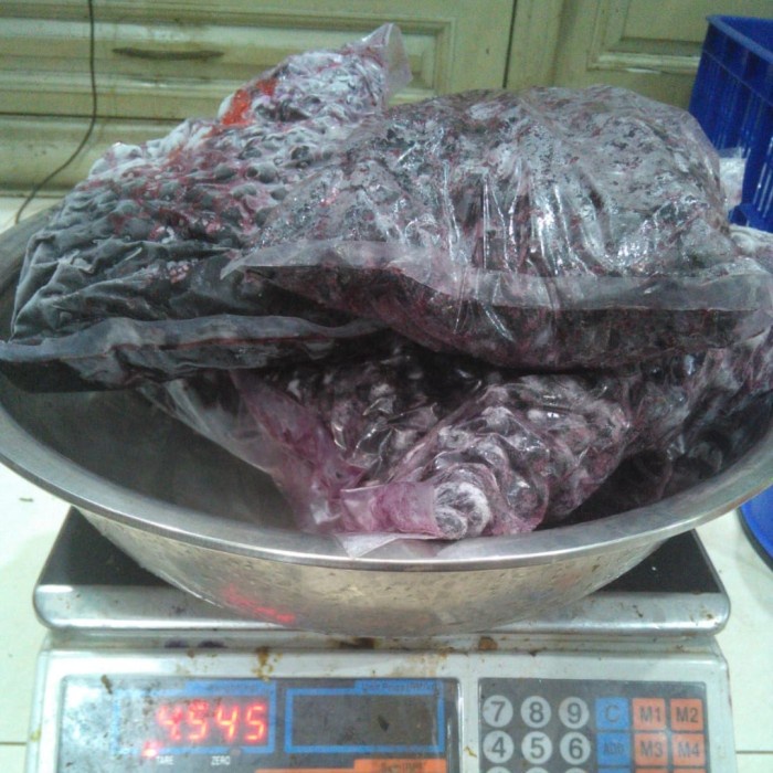 

Lezat- Buah Beku Blueberry Frozen IQF 1/2kg TERMURAH SE INDONESIA DIJAMIN