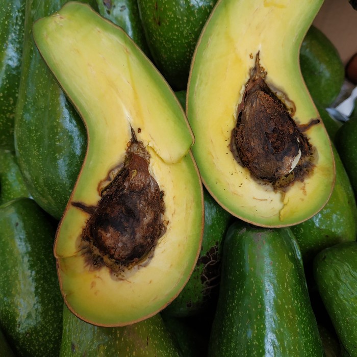 

Lezat- Alpukat Mentega Super Papapangan - 1kg