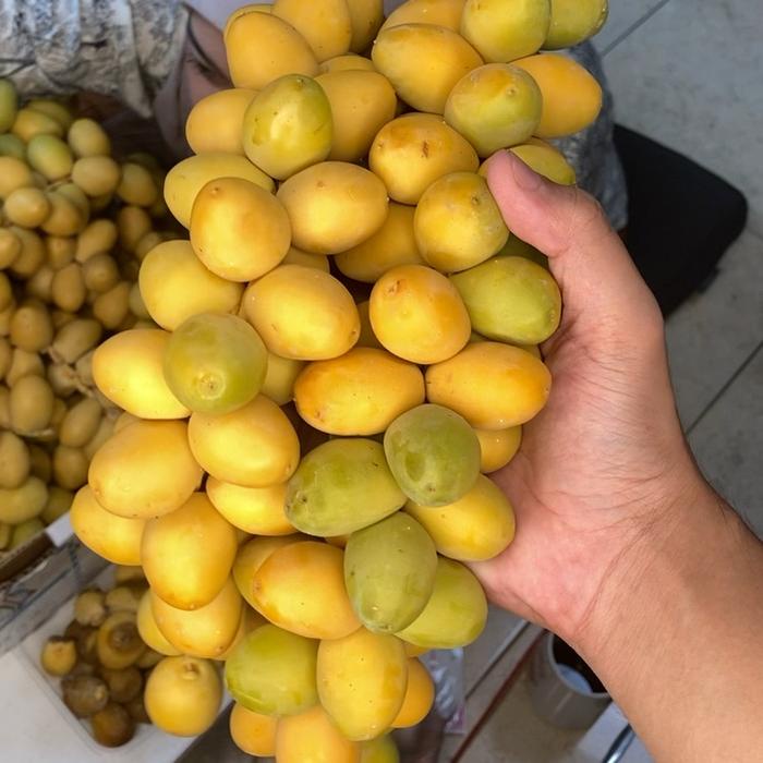 

Lezat- Paket Kurma Muda Barhee - Kurma Muda Segar Maniss