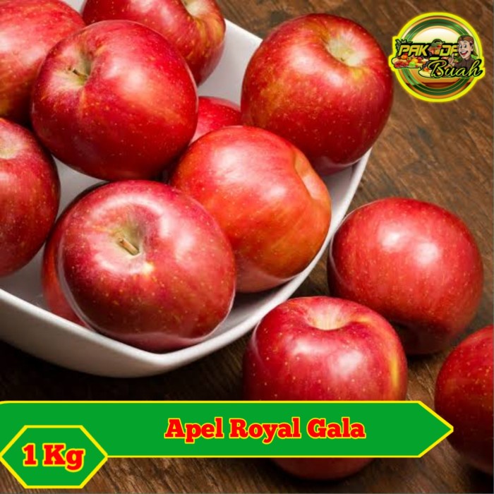

Lezat- APEL ROYAL GALA / BUAH SEGAR DAN FRESH / 1 KG