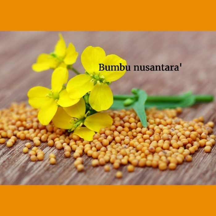 

Yellow mustard seed 250gr biji sawi kuning