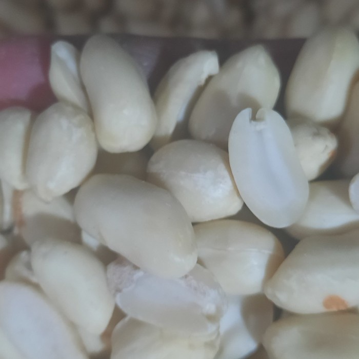 

Kacang Tanah Kupas Super 1 kg Size Jumbo