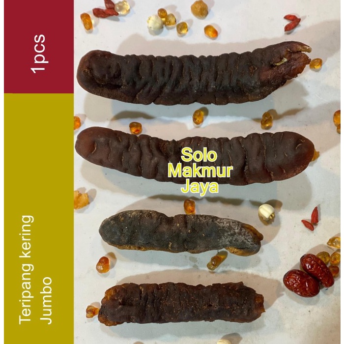 

Timun Laut / Teripang Kering / Thut Sim / Hai Sim / Hoi Som Haisom Belitung Besar Super / Teripang /