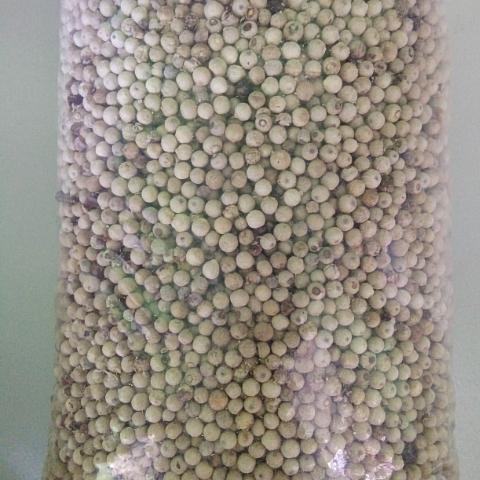 

Lezat- Lada Butir 500 gram