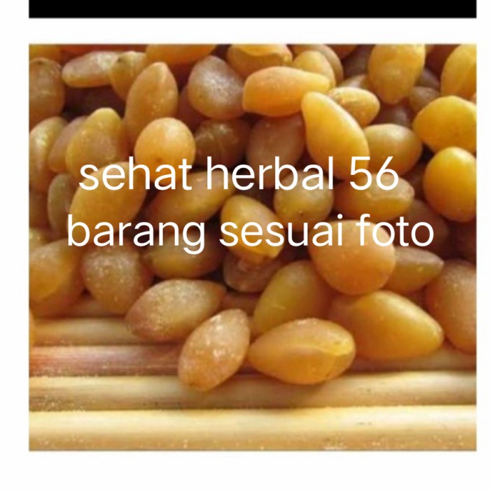 

Gingko Nut Sudah Kupas Bai Guo Pek ko 250gram