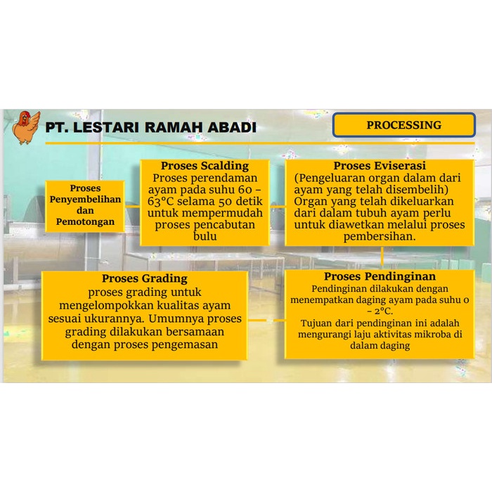 

Lezat- Ayam Ekoran 1.3 Fresh
