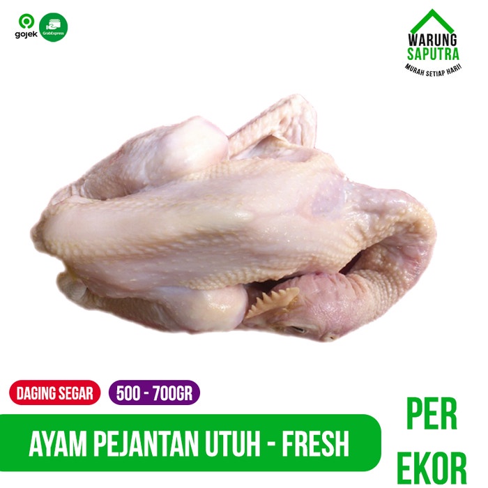 

Lezat- Ayam Pejantan Segar Utuh per Ekor