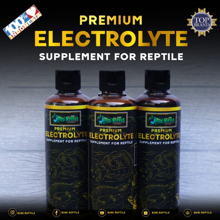 Pet- PREMIUM ELECTROLYTE SUPPLEMENT FOR REPTILE BY BUMI REPTILE