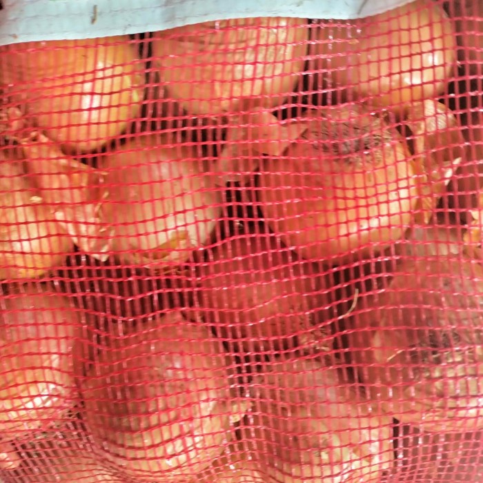 

jual bawang Bombay besar 5 kg