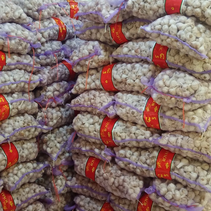 bawang putih kating (lepas dari bonggol) 1kg