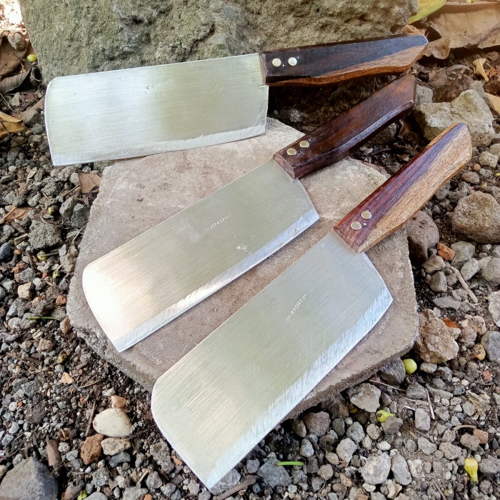 (Expert) PISAU DAGING PISAU DAPUR PISAU MURAH TAJAM