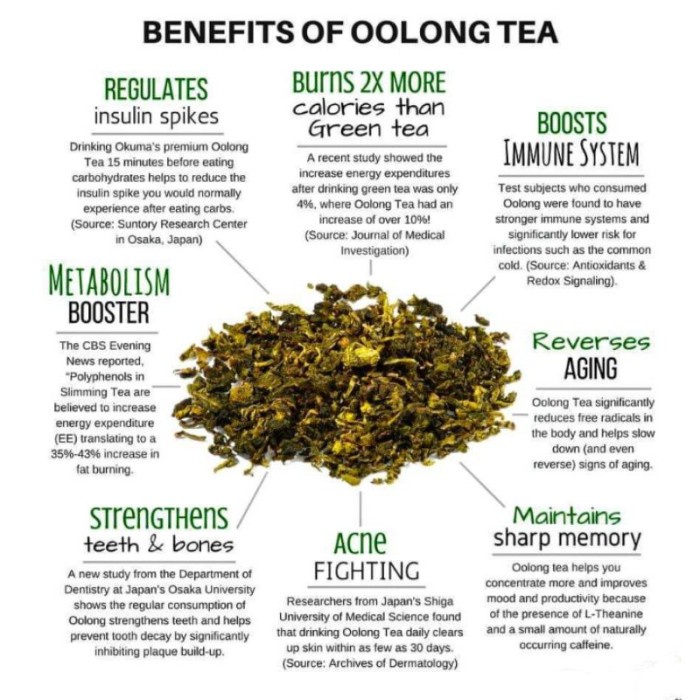 

BEST !! Oolong Tea / Teh Oolong Isi 30 Tea Bag
