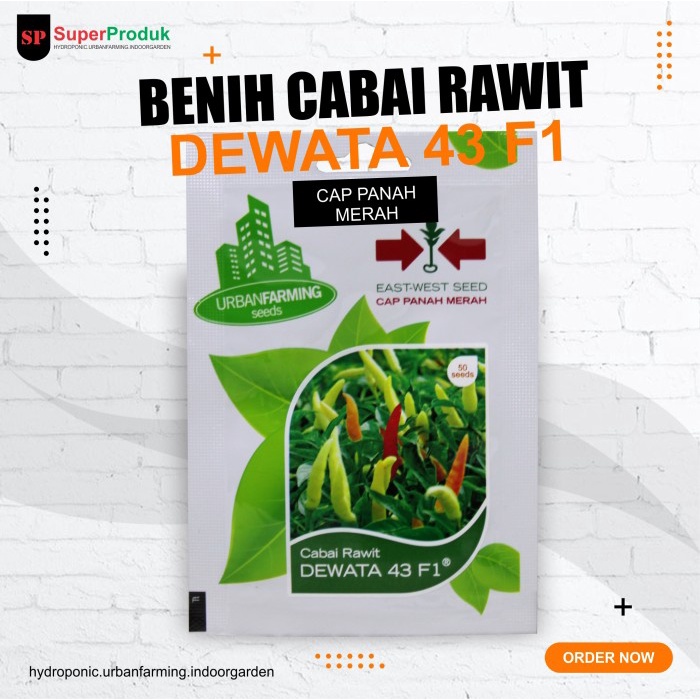 murah- Benih-Bibit Cabai Rawit Dewata 43 F1 Cap Panah Merah