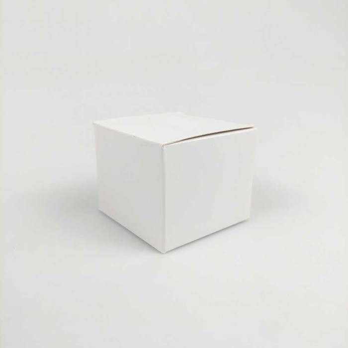 ALAT GANJAL PENGGANJAL PENAHAN MAGNET BAWAH PINTU RUMAH MAGNET MURAH