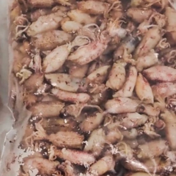 

Cumi asin kering balita (uk 2-4cm)