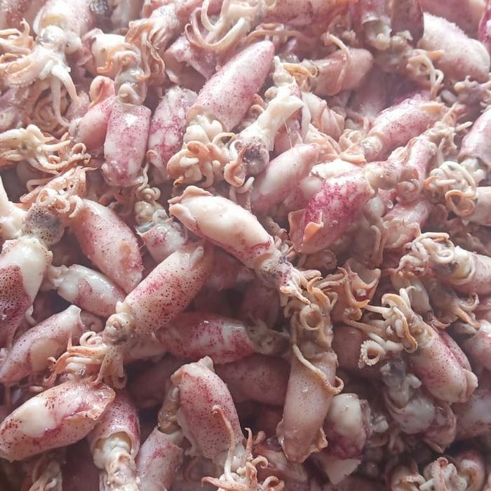 

Kuliner.Kita Ikan Asin Cumi Beby/Cumi Asin Beby/Beby Cumi Asin 500Gr