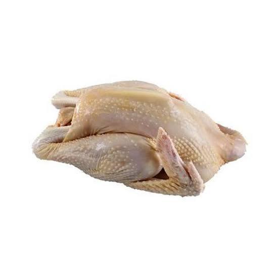 

Ayam Kampung 0.8-0.9Kg Ayam Utuh / Ayam 1 Ekor / Ayam Fresh / Ayam Segar