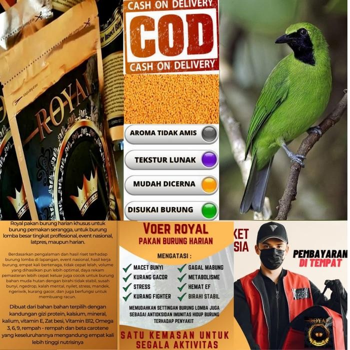 Pur Pakan Voer Burung Cucak Ijo 300 Gr Royal