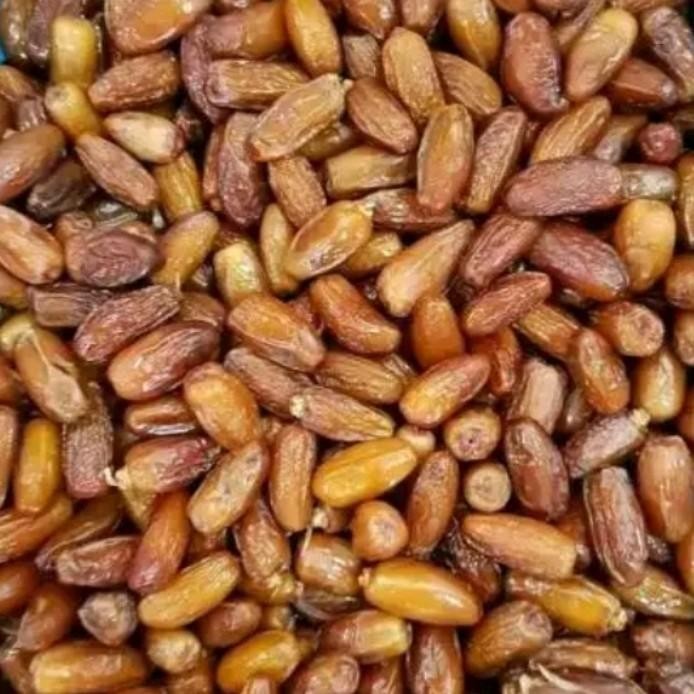 

BisaInstan- kurma tunisia madu ukuran 1 kg kurma madu tunis Cemilan