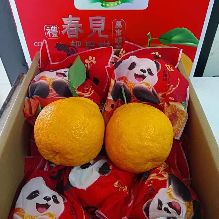 

BisaInstan- JERUK DEKOPON / PAPAGAN