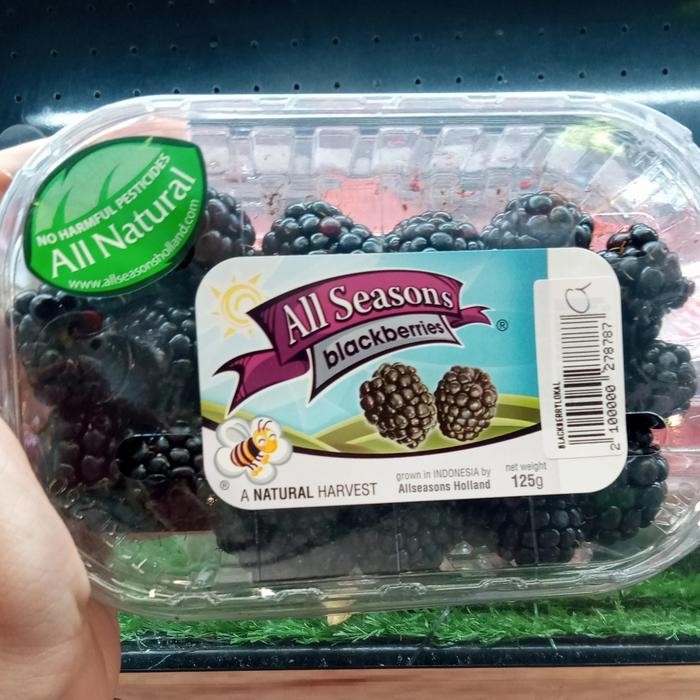 

BisaInstan- blackberries all seasons natural buah blackberry 125 grm