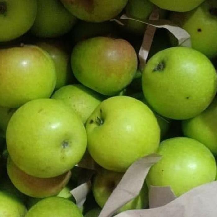 BisaInstan- Apel Malang Hijau Berkualitas 1Kg