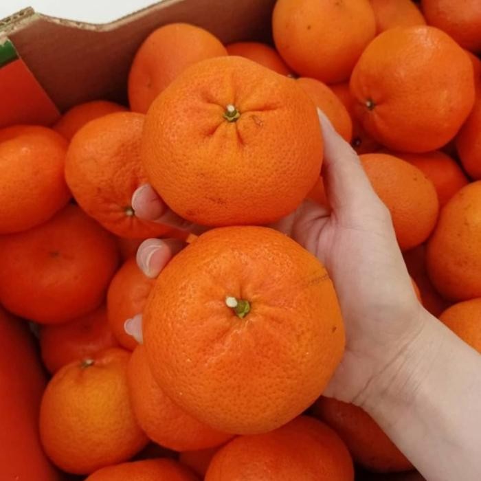 

BisaInstan- Jeruk Honey Murcot/Mandarin Jumbo/Wokam Import FRESH per KG & Dus