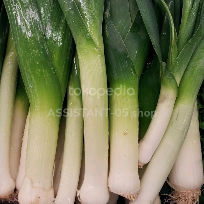 

BisaInstan- Leek import daun bawang import -+300gr 1 pcs