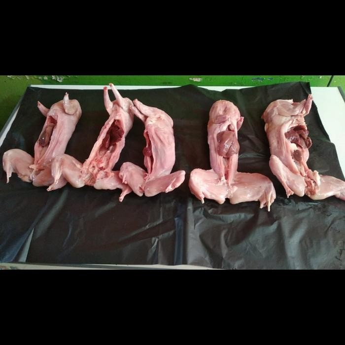 

Kirim,HariYgSama- Kelinci Utuh 1 kg