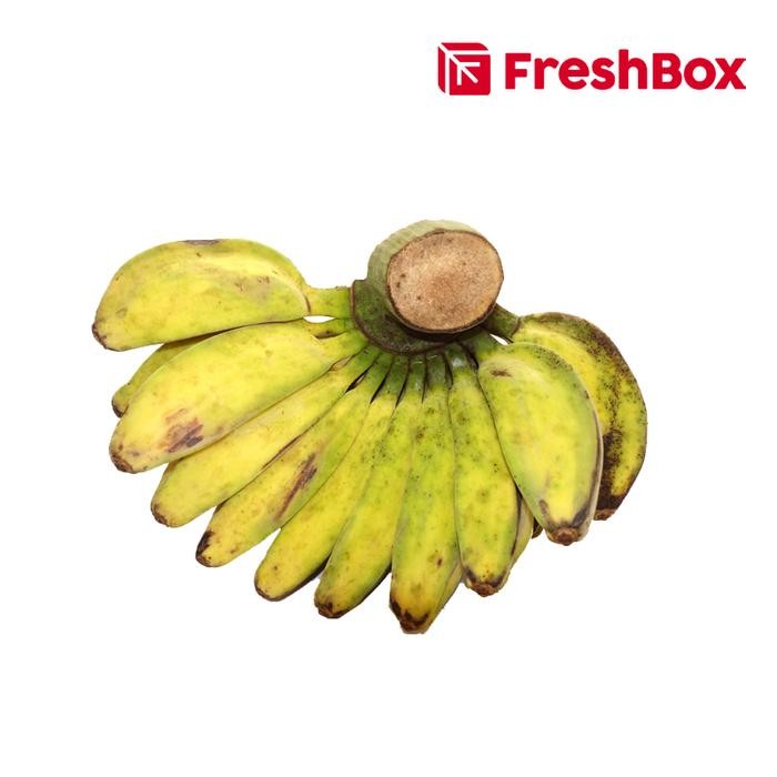 

BisaInstan- Pisang Kepok 1 Sisir FreshBox