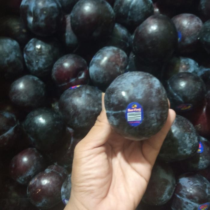 

BisaInstan- BUAH PLUM HITAM FRESH IMPORT PER 1 KG BUAH SEGAR